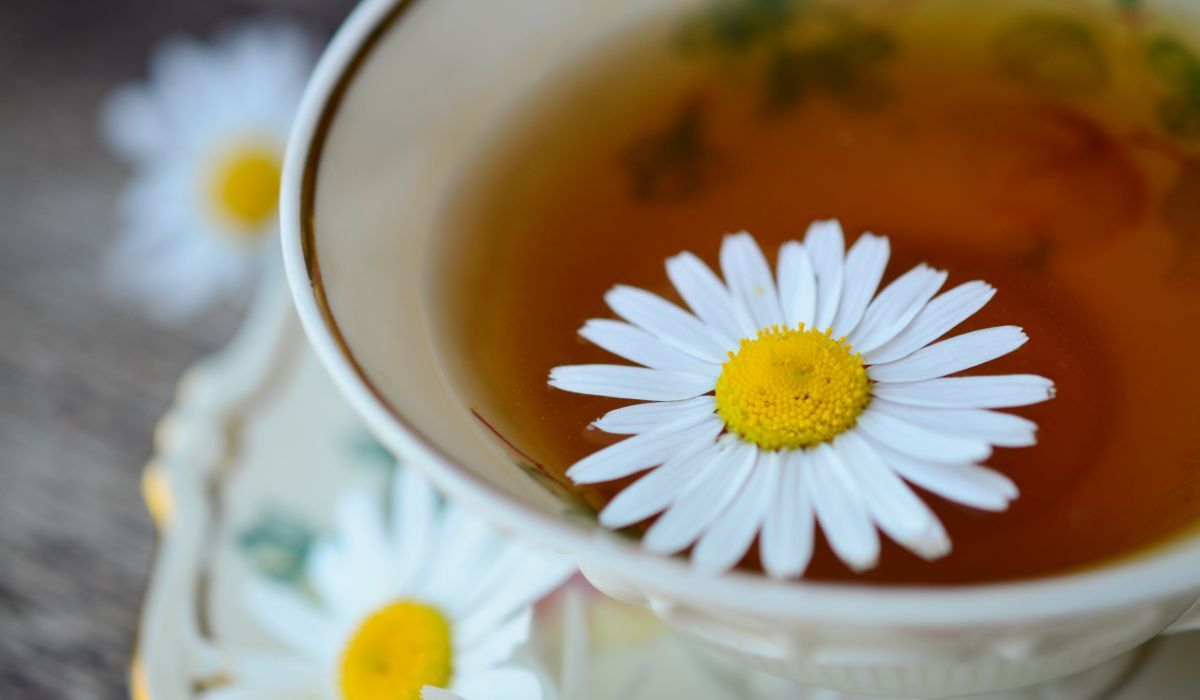 herbatka z rumiankiem