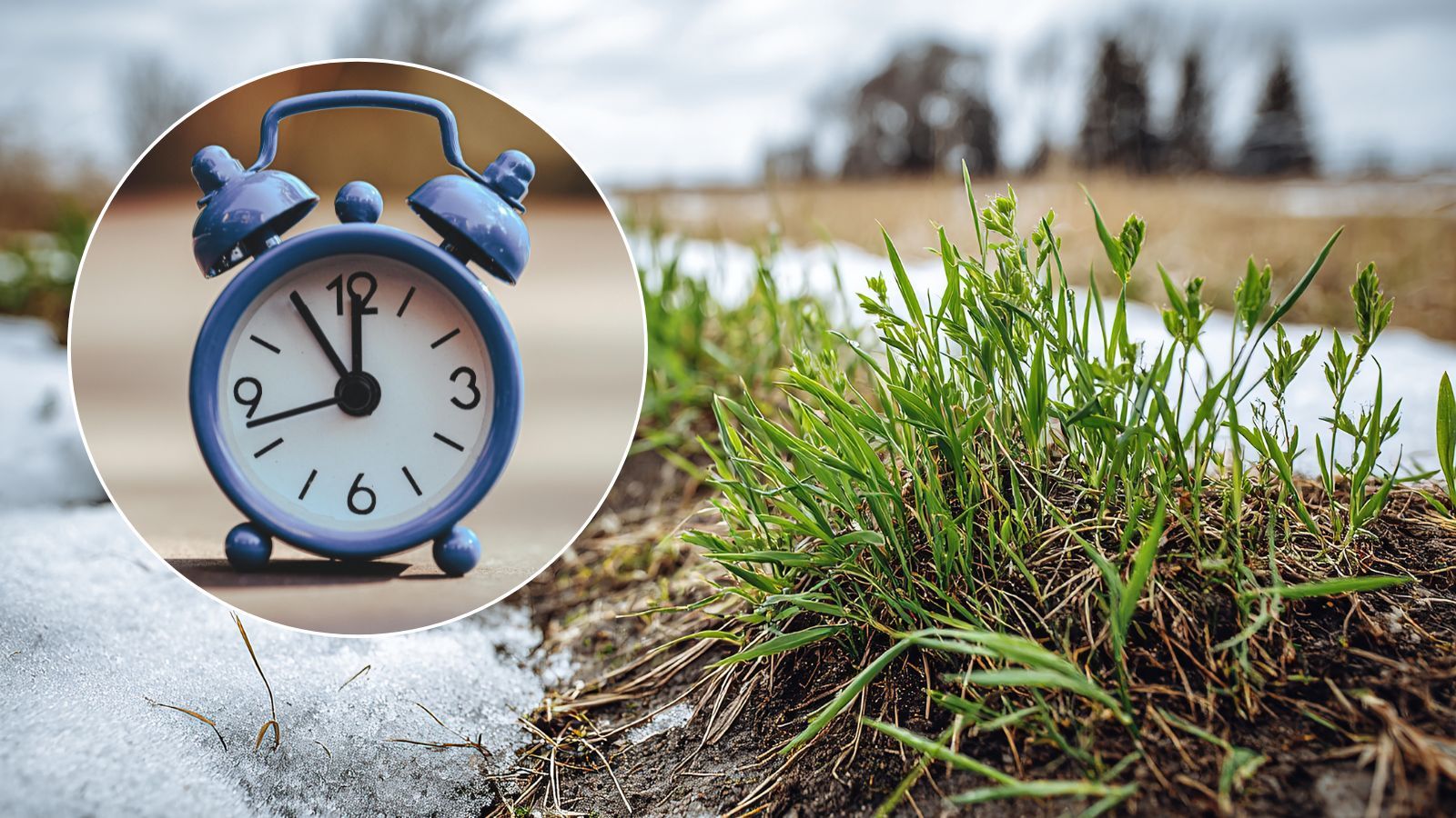 Michał  Troszkiewicz