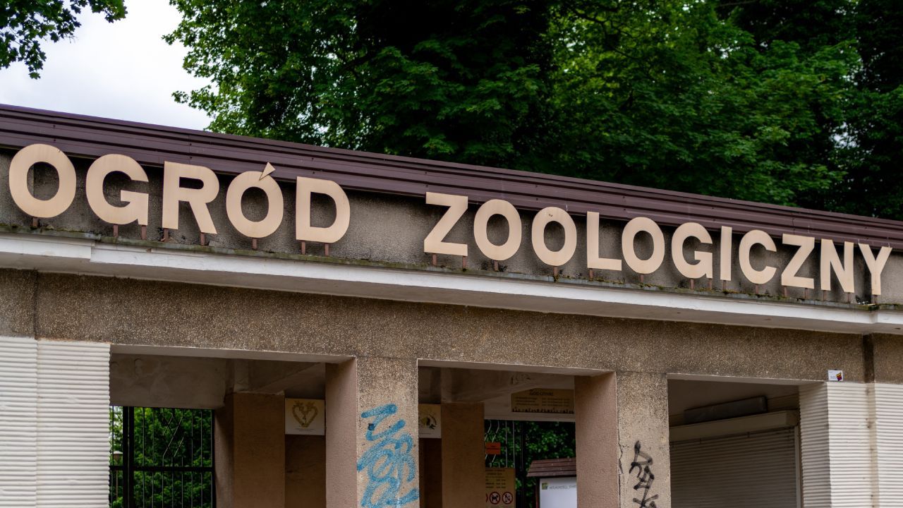 zoo poznań