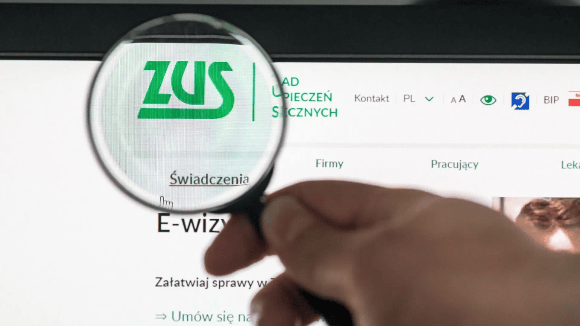 zus.jpg
