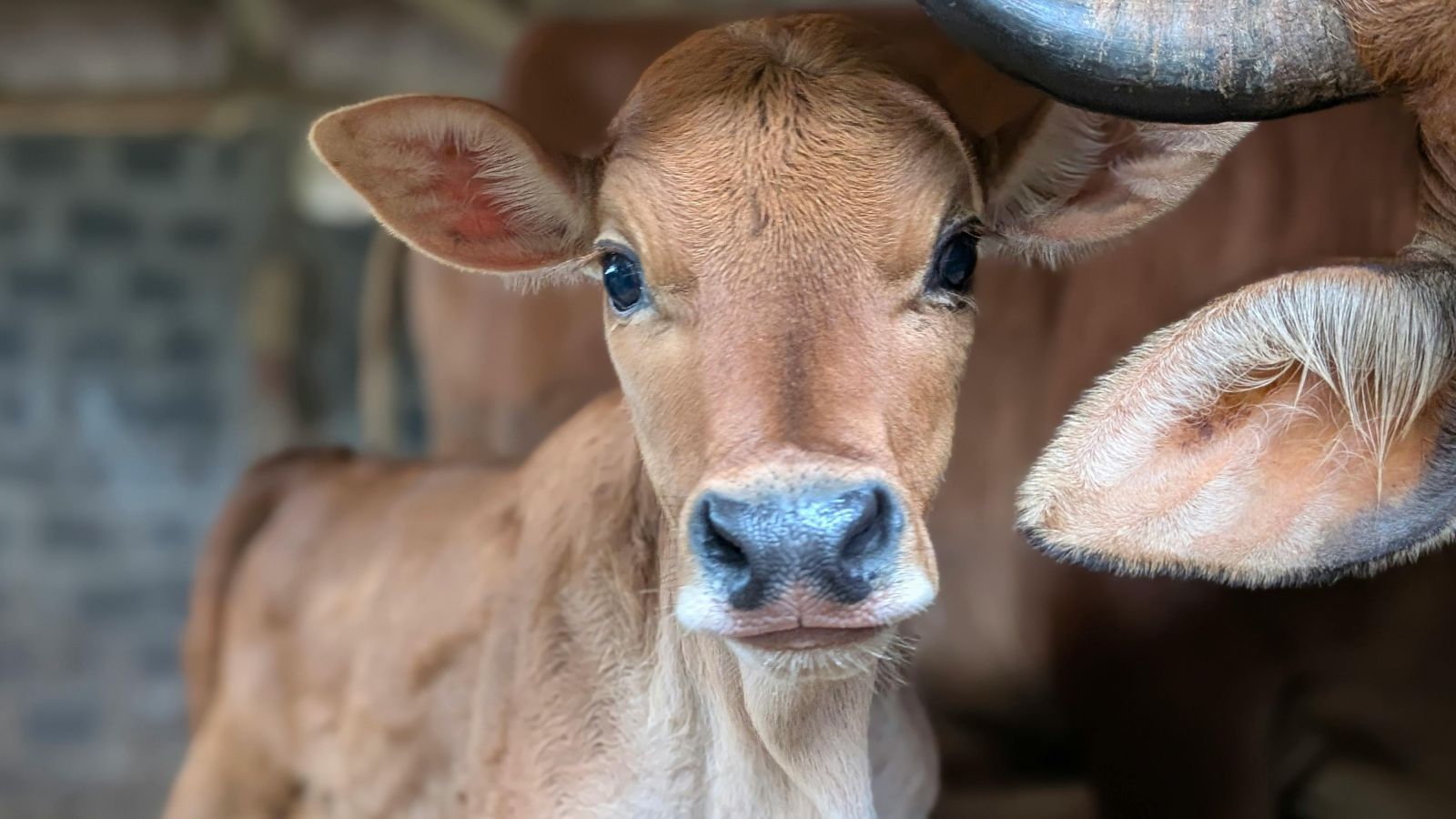 Ile teraz zarobisz? 113 zł za godzinę pracy dla wybranych zawodów. Rząd zdradza szczegóły