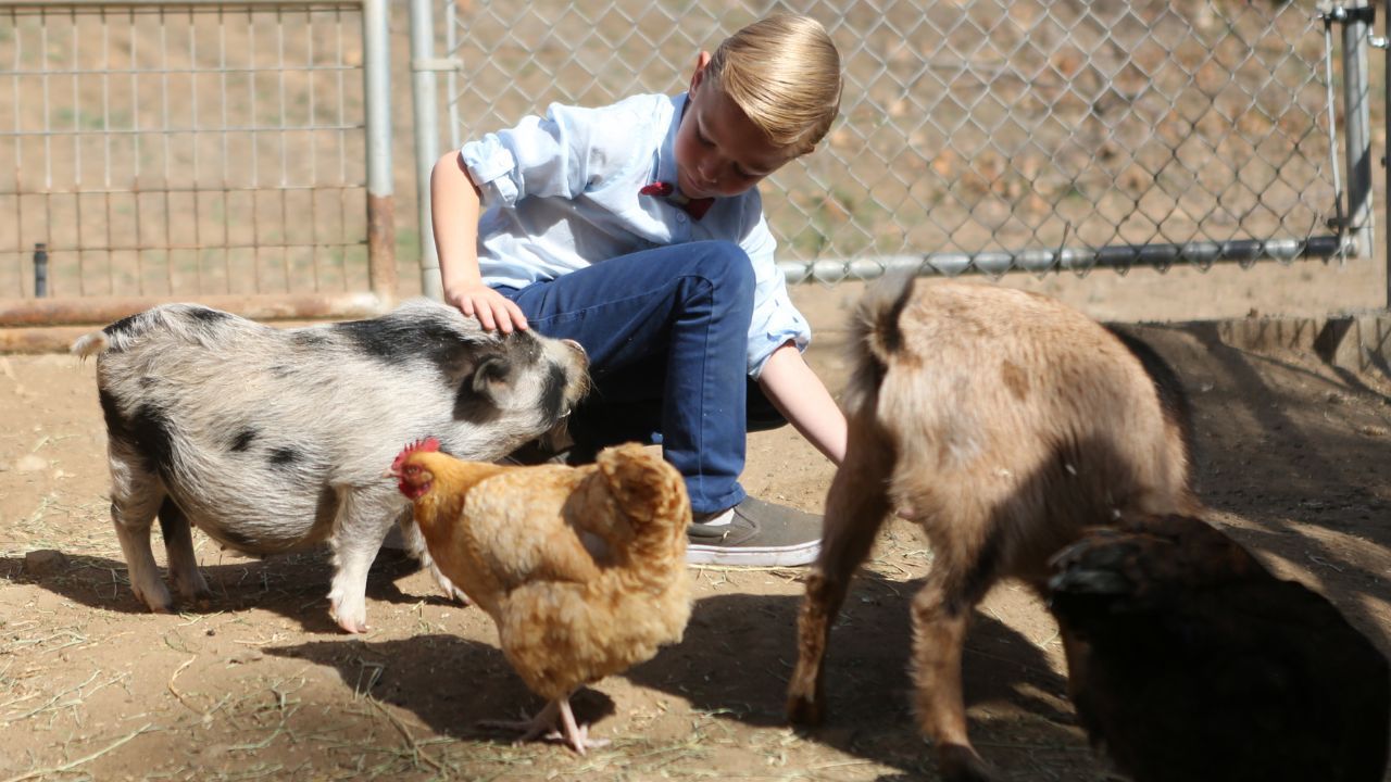 18 marca wchodzą duże zmiany w prawie. Każdy rolnik musi o tym pamiętać. Można zyskać duże pieniądze